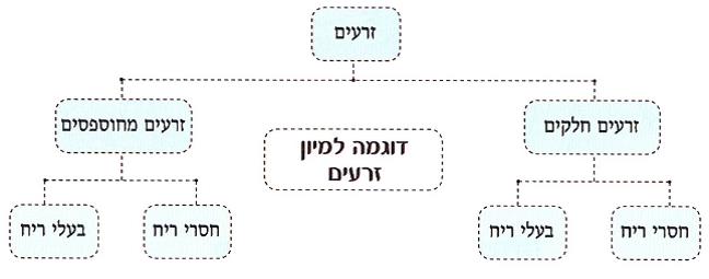 (תרשים)